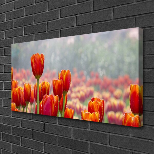 Quadro su tela Tulipani, fiori, piante 100x50 cm