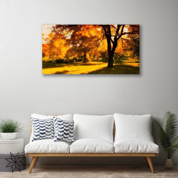 Quadro su tela Alberi, Autunno, Natura 100x50 cm