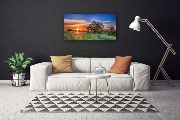 Quadro su tela Prato, sole, paesaggio 100x50 cm