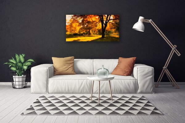 Quadro su tela Alberi, Autunno, Natura 100x50 cm