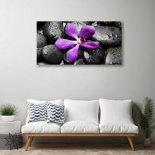 Quadro su tela Pietre di fiori Art 100x50 cm