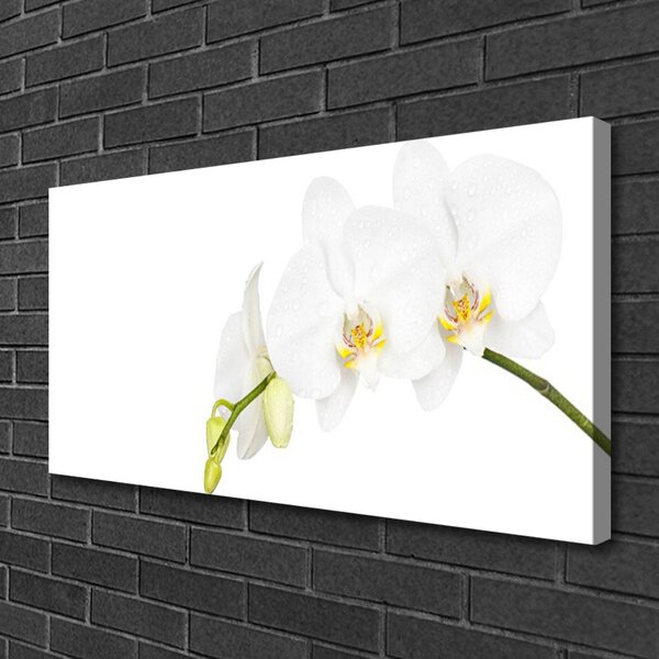 Quadro su tela Fiori, piante, natura 100x50 cm