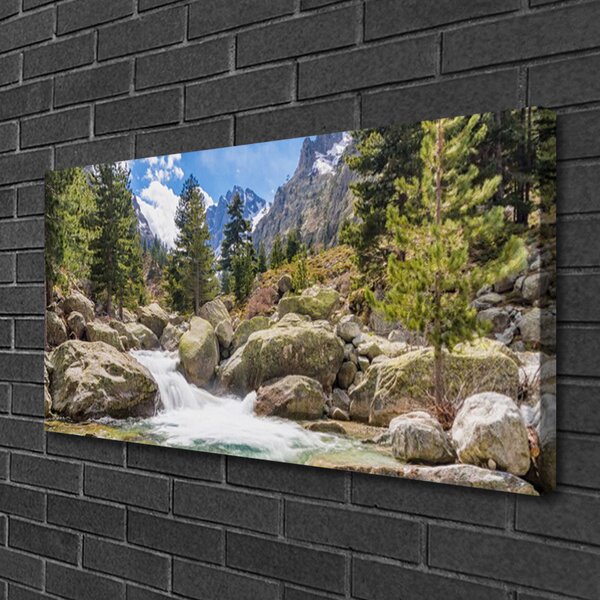 Stampa quadro su tela Fiume di pietre della foresta di montagna 100x50 cm