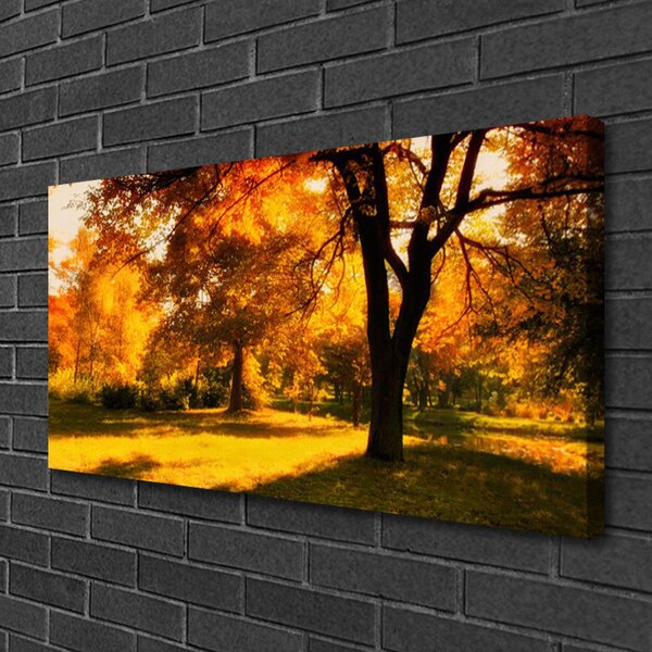 Quadro su tela Alberi, Autunno, Natura 100x50 cm