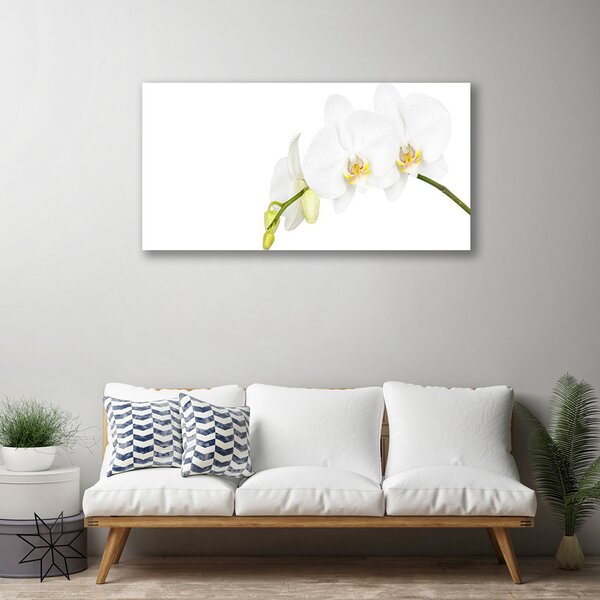 Quadro su tela Fiori, piante, natura 100x50 cm