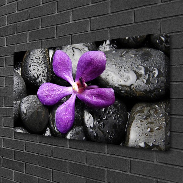 Quadro su tela Pietre di fiori Art 100x50 cm