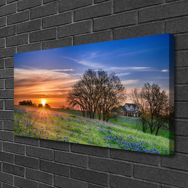 Quadro su tela Prato, sole, paesaggio 100x50 cm