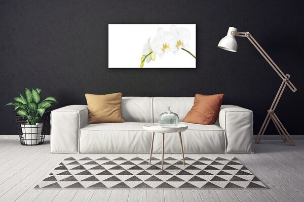 Quadro su tela Fiori, piante, natura 100x50 cm