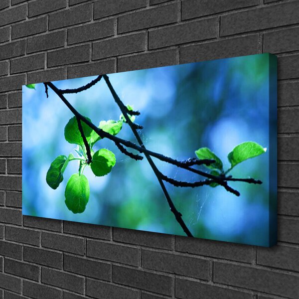 Foto quadro su tela Ramo di piante naturali Foglie 100x50 cm