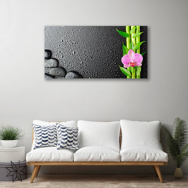 Quadro stampa su tela Stelo della pianta del fiore di bambù 100x50 cm