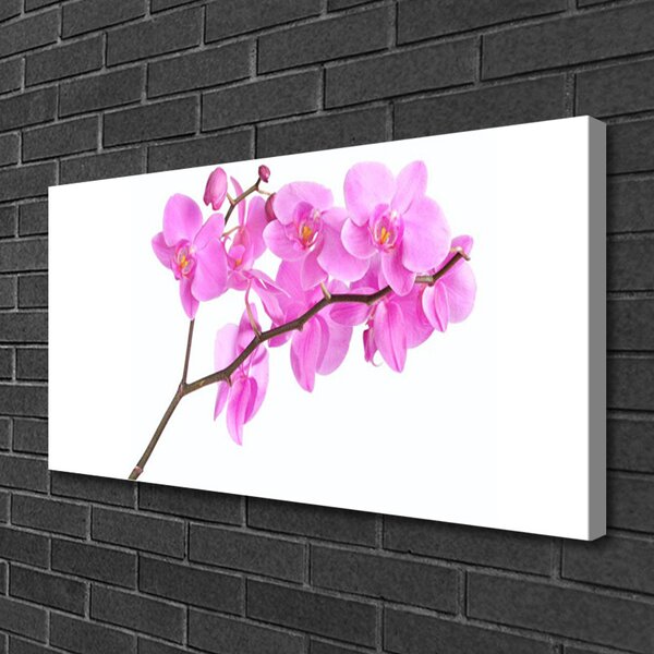 Quadro su tela Fiori, piante, natura 100x50 cm