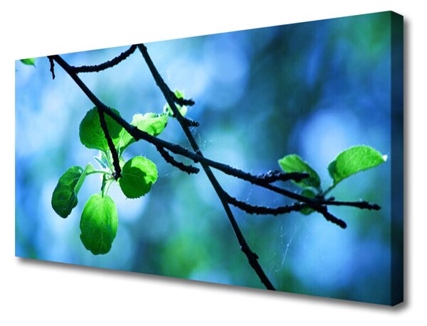 Foto quadro su tela Ramo di piante naturali Foglie 100x50 cm