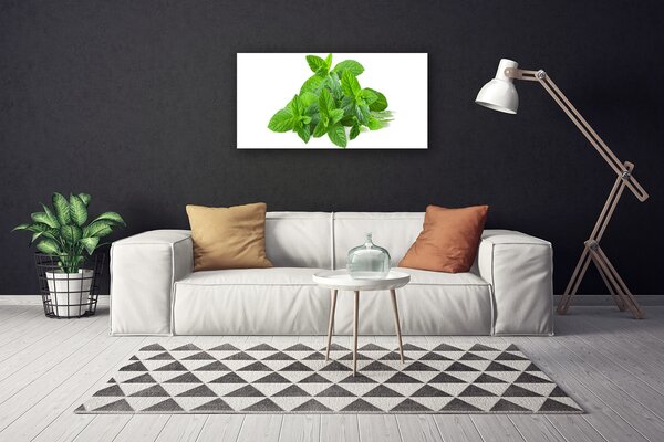 Quadro su tela Natura vegetale di menta 100x50 cm