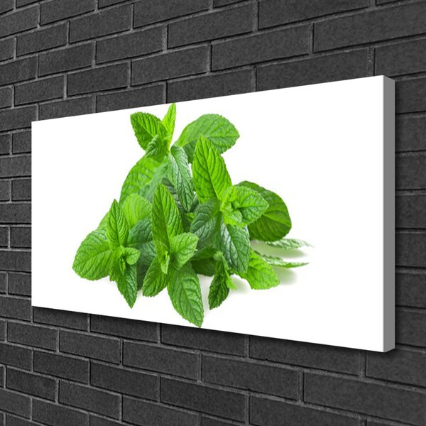 Quadro su tela Natura vegetale di menta 100x50 cm