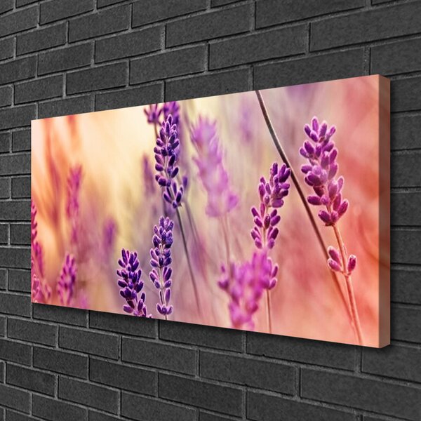 Quadro su tela Fiori, piante, natura 100x50 cm