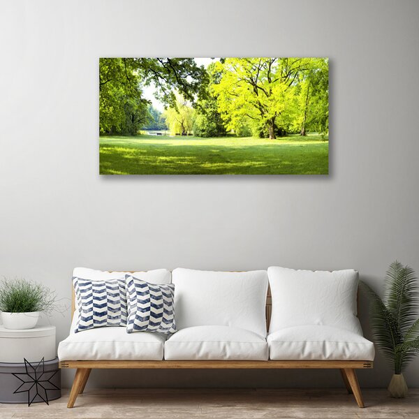 Quadro su tela Parco naturale degli alberi d'erba 100x50 cm