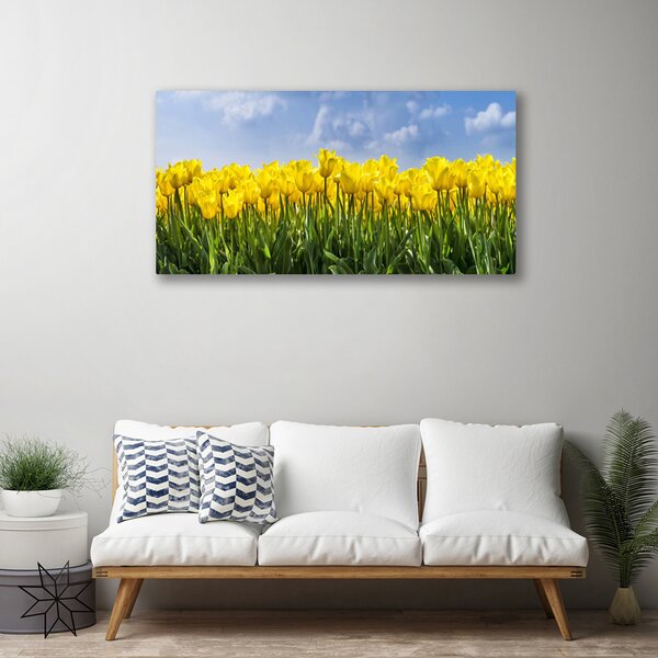 Stampa quadro su tela Tulipani, fiori, piante 100x50 cm