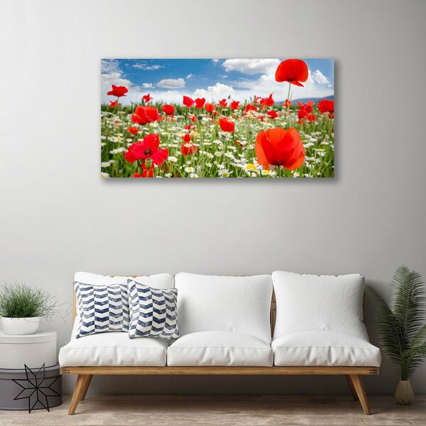 Quadro su tela Prato, fiori, natura 100x50 cm