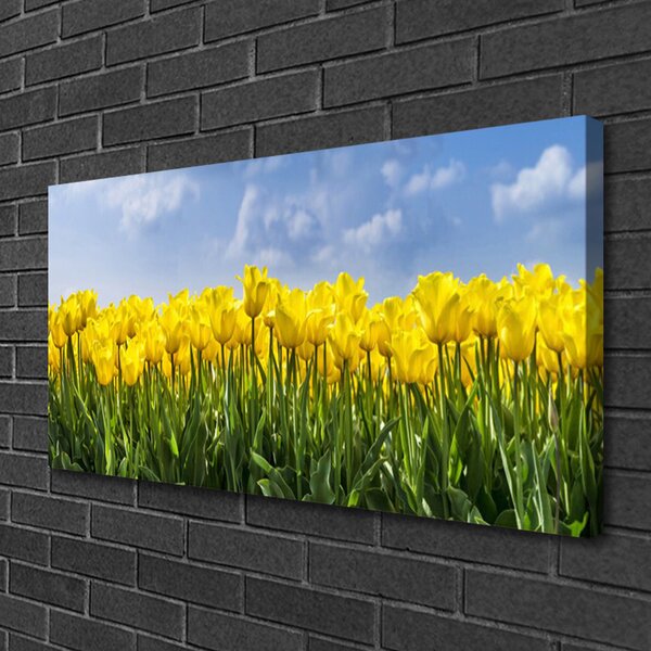 Stampa quadro su tela Tulipani, fiori, piante 100x50 cm