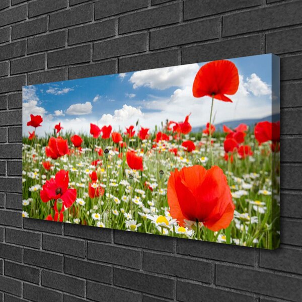 Quadro su tela Prato, fiori, natura 100x50 cm