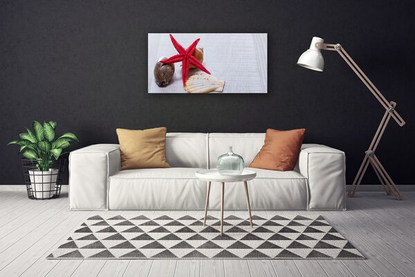 Quadro su tela Conchiglie di stelle marine Art 100x50 cm