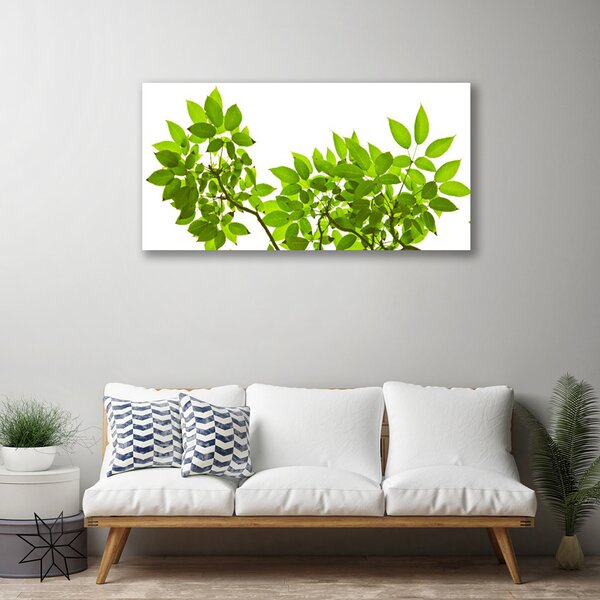 Quadro su tela Ramo di piante naturali Foglie 100x50 cm