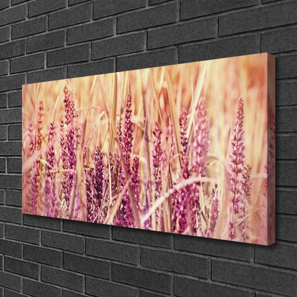 Quadro su tela Grano vegetale naturale 100x50 cm