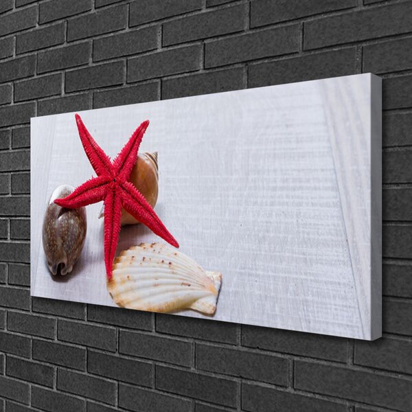 Quadro su tela Conchiglie di stelle marine Art 100x50 cm