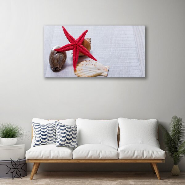 Quadro su tela Conchiglie di stelle marine Art 100x50 cm
