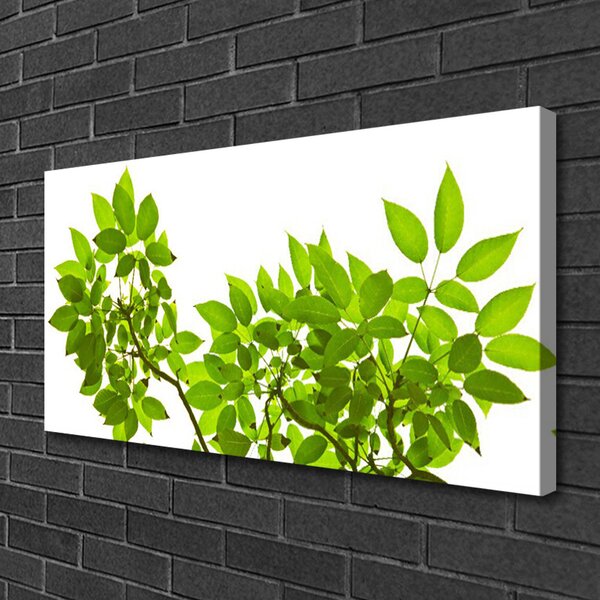 Quadro su tela Ramo di piante naturali Foglie 100x50 cm