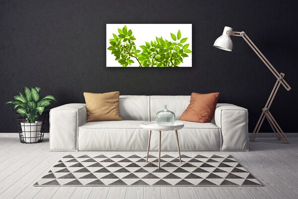 Quadro su tela Ramo di piante naturali Foglie 100x50 cm