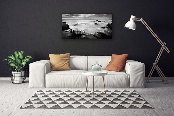 Quadro su tela Paesaggio marino roccioso 100x50 cm