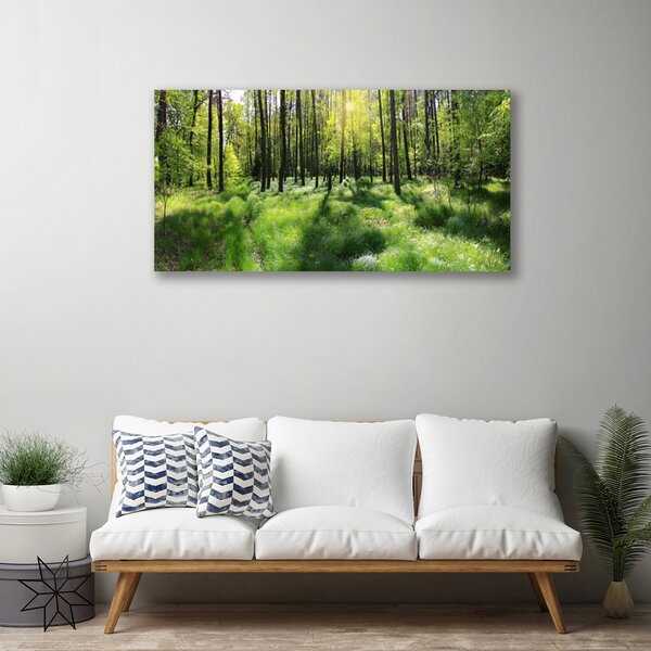 Quadro su tela Foresta. Erba. Pianta. Natura 100x50 cm
