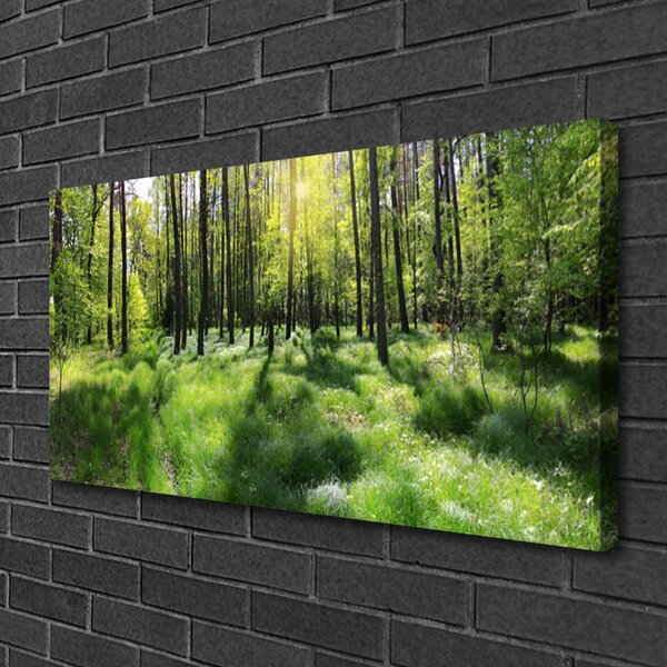 Quadro su tela Foresta. Erba. Pianta. Natura 100x50 cm