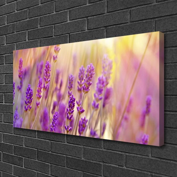 Stampa quadro su tela Fiori, piante, natura 100x50 cm