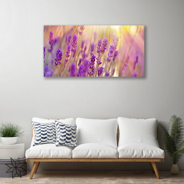 Stampa quadro su tela Fiori, piante, natura 100x50 cm