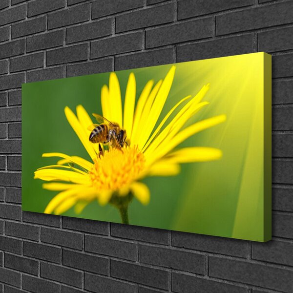 Quadro su tela Natura del fiore dell'ape 100x50 cm