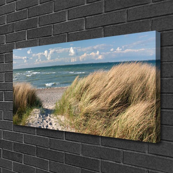 Stampa quadro su tela Paesaggio dell'erba del mare della spiaggia 100x50 cm