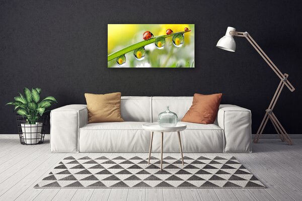 Quadro su tela Foglia di coccinella della natura 100x50 cm