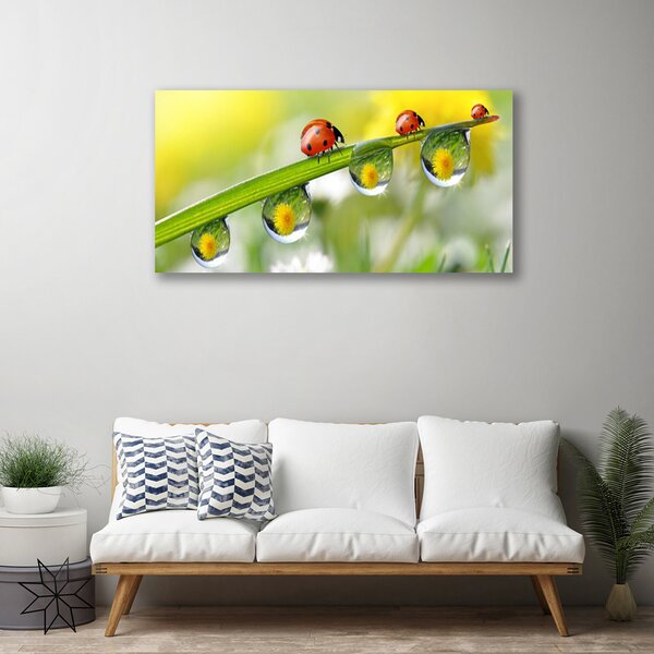 Quadro su tela Foglia di coccinella della natura 100x50 cm