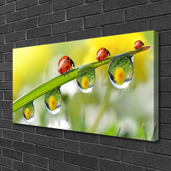 Quadro su tela Foglia di coccinella della natura 100x50 cm