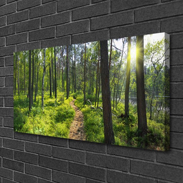 Quadro su tela Foresta. Sentiero. Sentiero. Natura 100x50 cm
