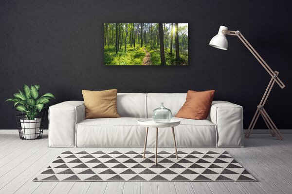 Quadro su tela Foresta. Sentiero. Sentiero. Natura 100x50 cm