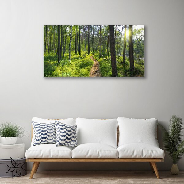 Quadro su tela Foresta. Sentiero. Sentiero. Natura 100x50 cm