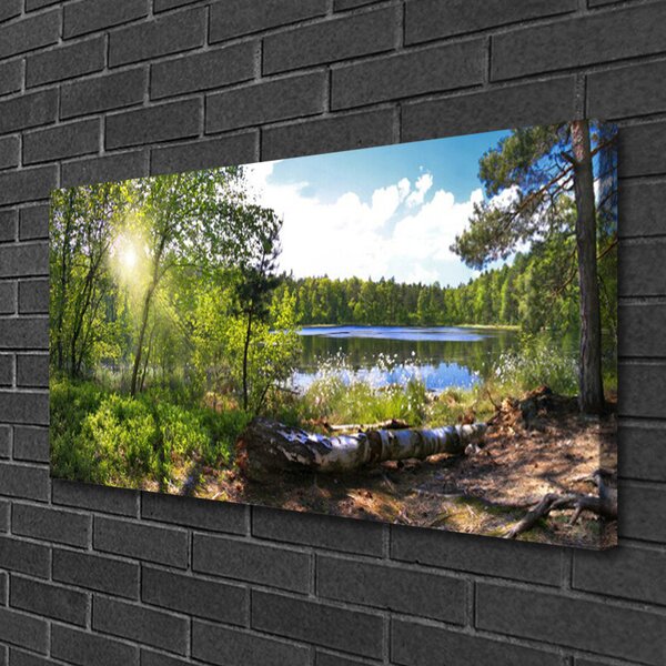 Quadro su tela Foresta, alberi, lago, natura 100x50 cm