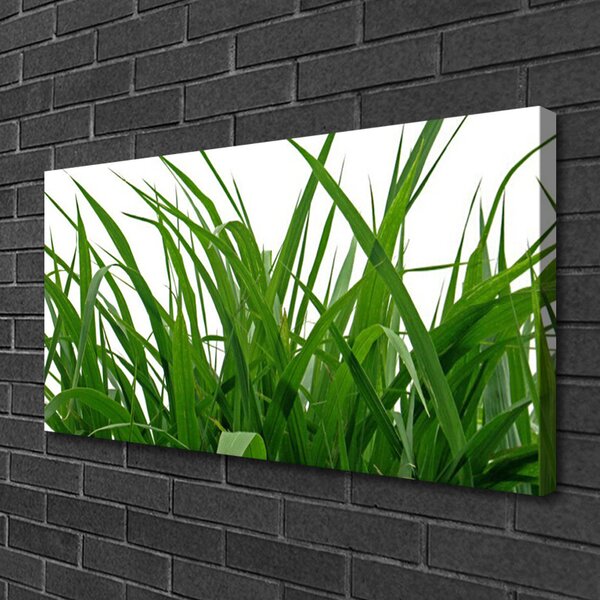 Quadro su tela Erba, piante, natura 100x50 cm