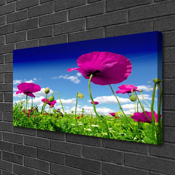 Quadro su tela Prato, Fiori, Cielo Natura 100x50 cm