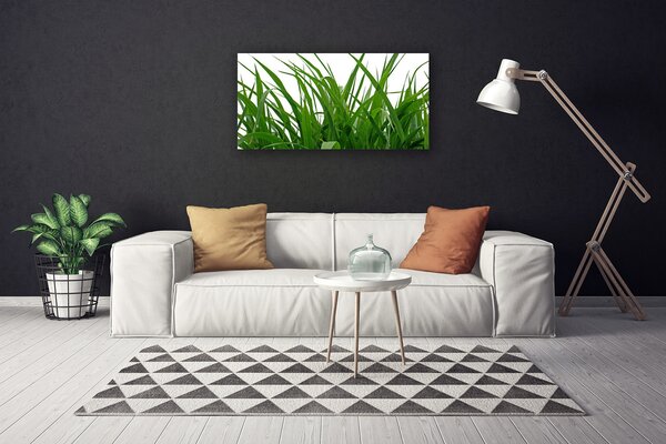 Quadro su tela Erba, piante, natura 100x50 cm
