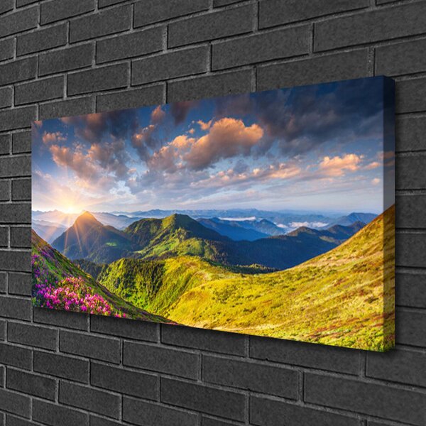Quadro su tela Montagne, il Sole. Il paesaggio dei prati 100x50 cm