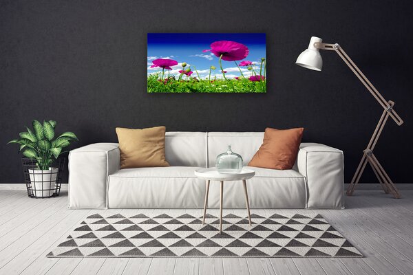 Quadro su tela Prato, Fiori, Cielo Natura 100x50 cm